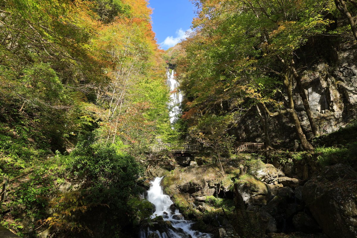 victoryship04's tweet photo. 神庭の滝に来たけど紅葉が見頃で良い https://t.co/W3bYS5O3ZB