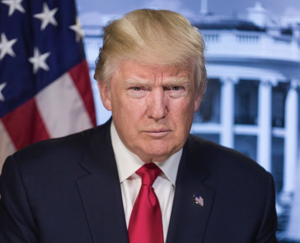 LocalMemeGod's tweet image. Trump names Handy Manny as secretary of housing and urban development