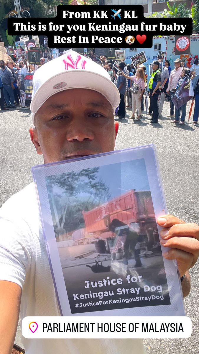 AJpyroMMA's tweet photo. 12th November 2024.
Memorandum submission to Parliament.
Parliament House of Malaysia.
#justiceforallstrayanimals
#justiceforkeningaustraydog
#justiceforkopi #pyropaws https://t.co/EZqULPv7RU