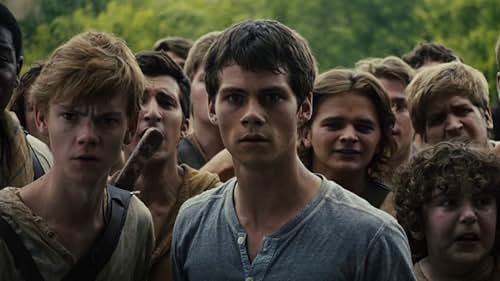 S40Films's tweet image. #BookToScreen :   The Maze Runner 

#JamesDashner’s dystopian thriller pulls readers into a claustrophobic world of puzzles and fear. 📖🧩 The film captured the adrenaline but missed much of the psychological tension of the #book, focusing more on action than on the mind games…