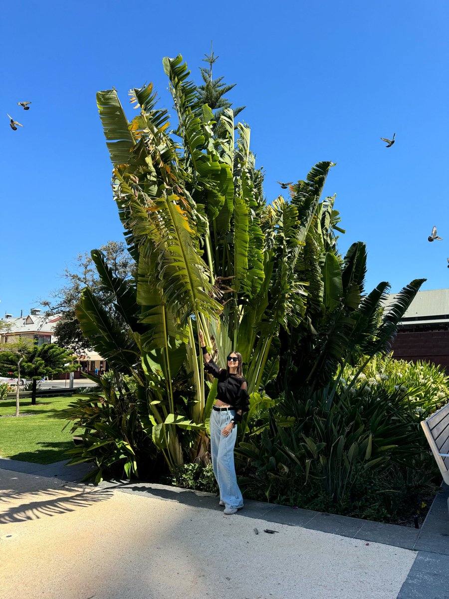 Katja Sirazitdinova tweet media