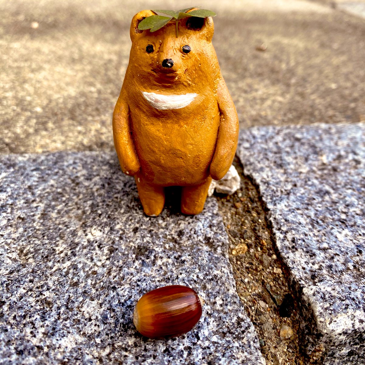 お土産
#マーティの毎日
#ぽってりぐま
#どんどんどんぐり