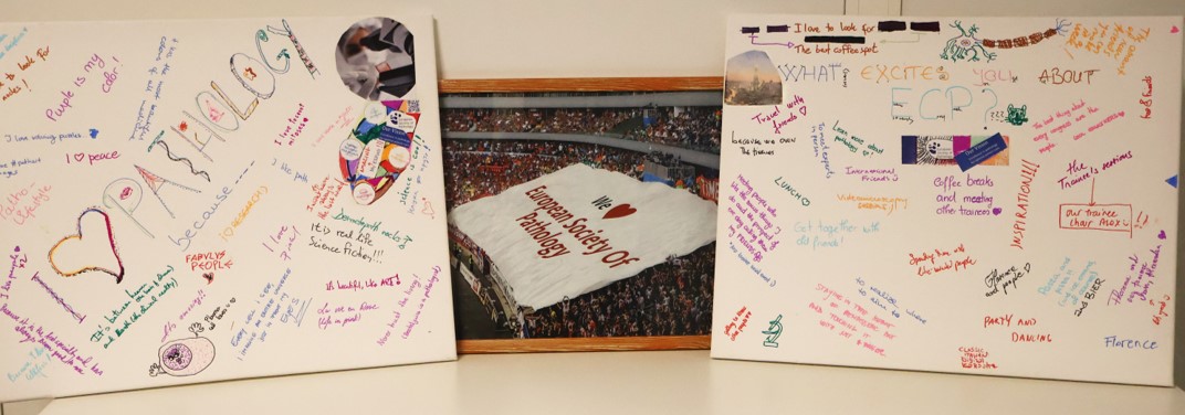 European Society of Pathology (ESP) (@esp_pathology) on Twitter photo For the #InternationalPathologyDay, the <a href="/EspTrainee/">ESP Trainee Subcommittee 💙🔬</a> prepared something special!
During #ESPCongress they asked #pathologists and #PathTrainee to express why they love ❤️#pathology and what excites them about the #ESPCongress!
This produced 2 eye-catching frames!🖼️🎨
#PathTwitter For the #InternationalPathologyDay, the <a href="/EspTrainee/">ESP Trainee Subcommittee 💙🔬</a> prepared something special!
During #ESPCongress they asked #pathologists and #PathTrainee to express why they love ❤️#pathology and what excites them about the #ESPCongress!
This produced 2 eye-catching frames!🖼️🎨
#PathTwitter