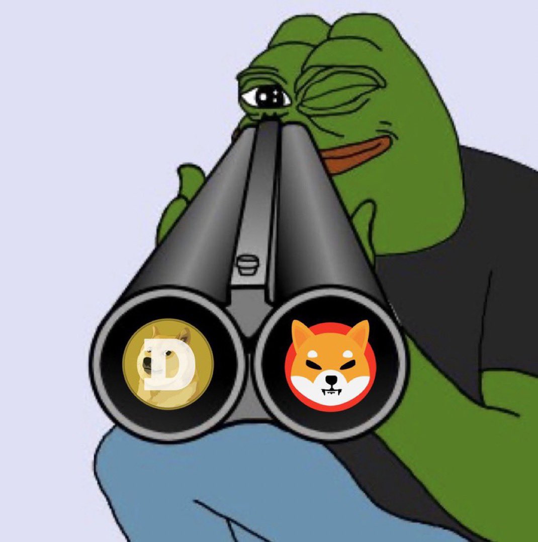 I would actually be fine with DOGE hitting 200bn and $PEPE only hitting 100bn.