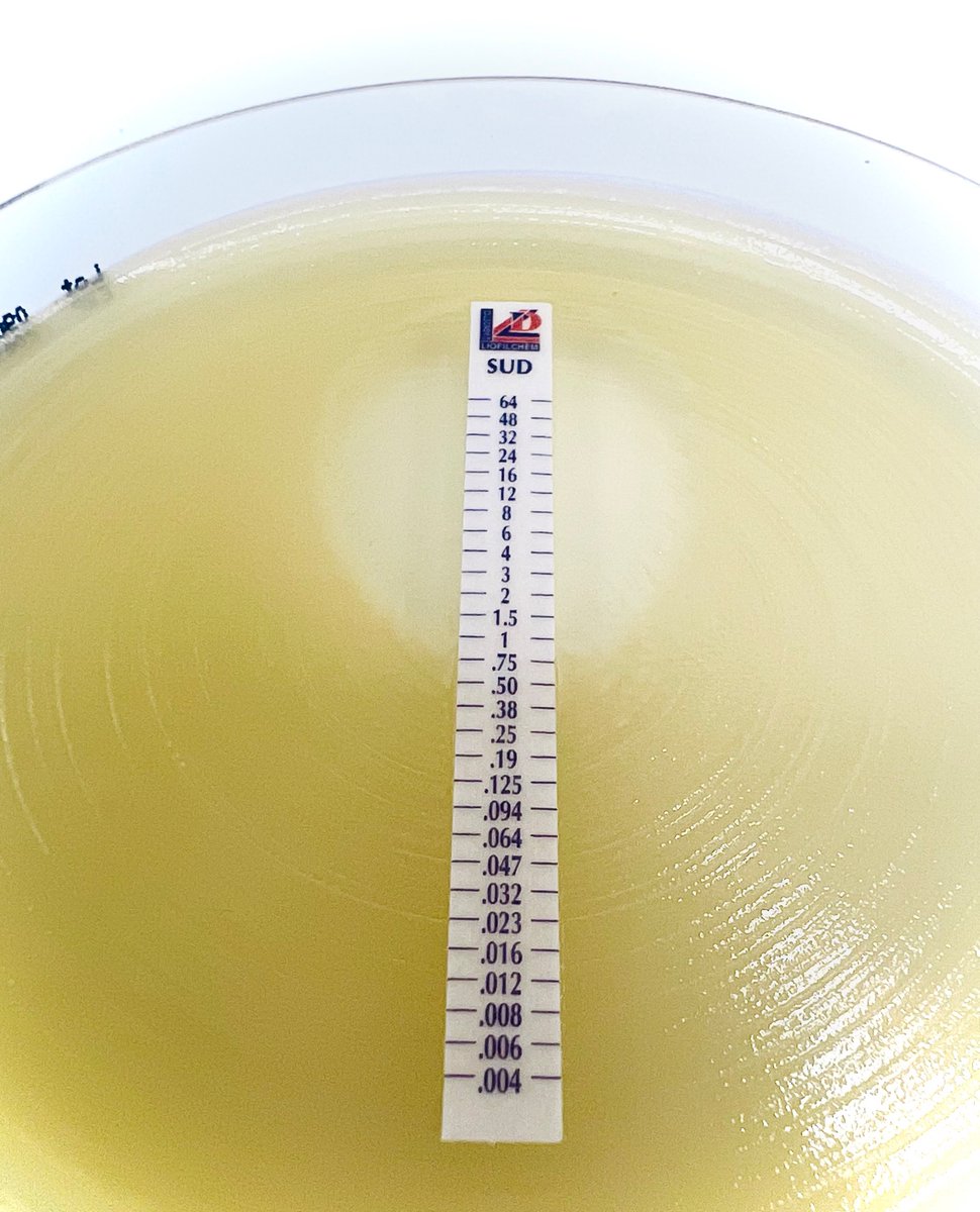 🆕 Sulbactam-durlobactam MTS™ 0.004/4-64/4 µg/mL is currently available for research use only (RUO).
Ref. 921061 - 10/pack 
Ref. 92106 - 30/pack 
Ref. 921060 - 100/pack
#microbiology #mikrobiologi #antimicrobialstewardship #antimicrobialresistance #durlobactam #bioanalytiker