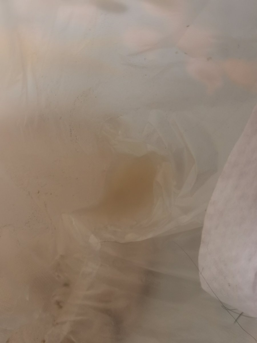 penis2019's tweet photo. 为什么精液一晚上还是又稀又多 https://t.co/5ndMPwlO4y