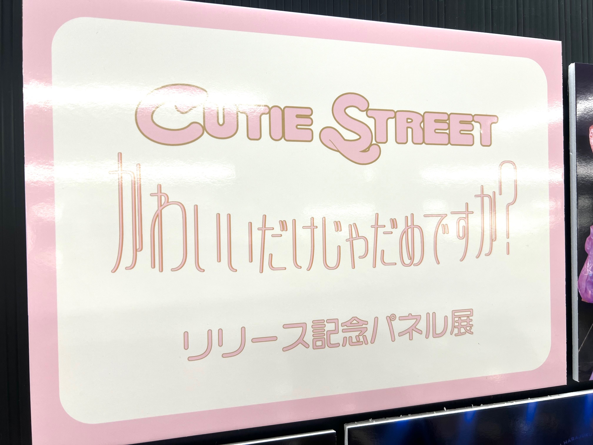 佐野愛花 直筆サイン入り アクリルパネル新品未開封 佐野愛花 A賞 直筆サイン入りアクリルパネル ラッフル 2点セット