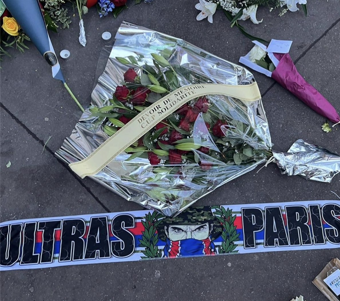 xxcmbxs's tweet image. 13.11.2015 🕊️⚜️