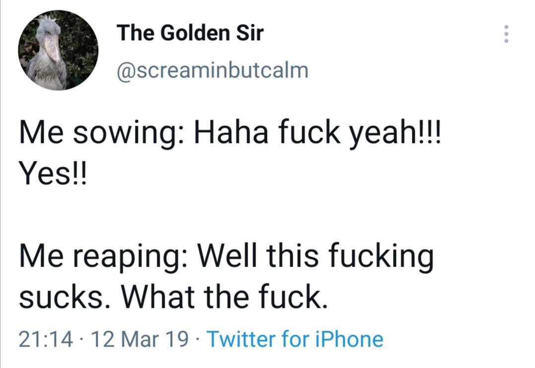 elijahdaniel's tweet image. 