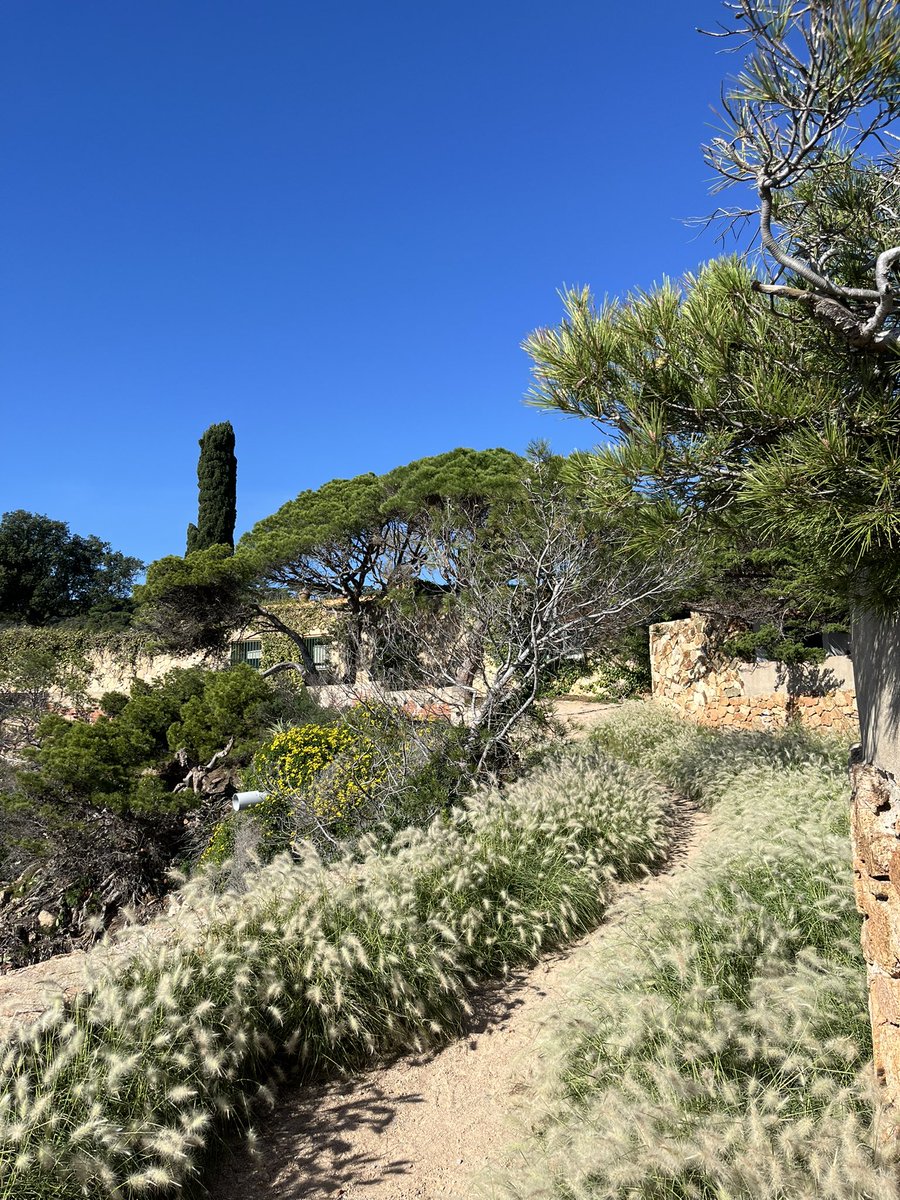 Thank you so much for the invitation! I’m very happy for participating in this great event… and meeting with new collaborators🤩
And as you can tell, I had to prepare my talk in bad bad conditions 😎
#iNCmeeting2024 <a href="/INC_UAB/">Institut de Neurociències UAB</a> UAB <a href="/sauralab/">Sauralab</a>