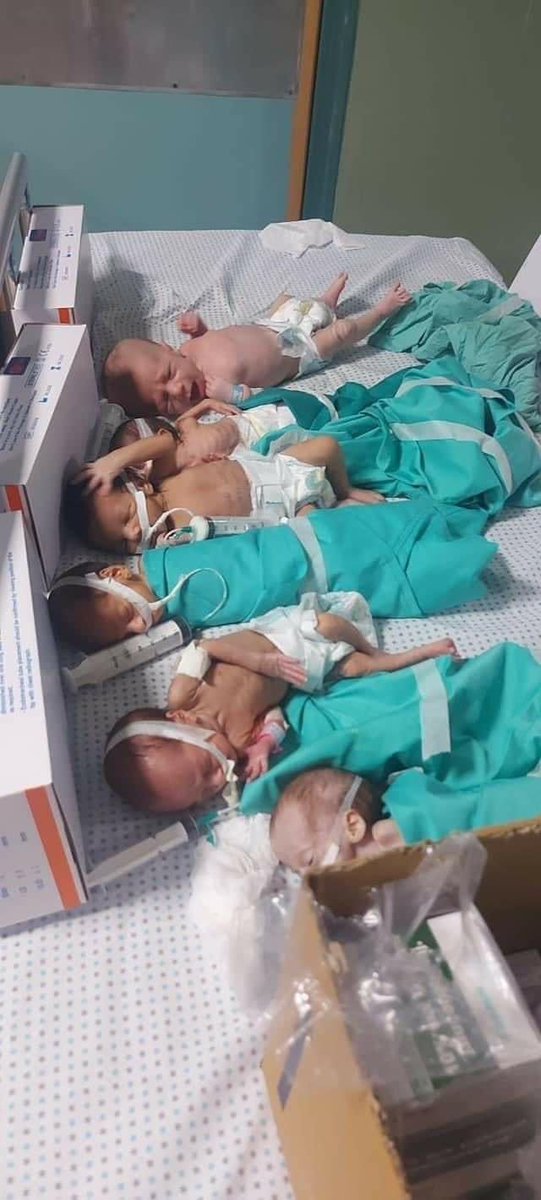 Astridueil's tweet photo. Sad pictures from Gaza: They wrap babies in foil and put them next to hot water
Premature babies at Gaza’s largest Al-Shifa hospital are being wrapped in foil and placed next to hot water in a desperate bid to keep them alive, the hospital director has warned, as Israeli forces continue to operate on the surrounding streets.

Al-Shifa Hospital staff are struggling to keep infants alive after oxygen supplies ran out and they had to manually transfer the babies from the neonatal unit incubator to another part of the hospital.

"I've been with them a while ago. We took them out of the incubator. "We wrap them in foil and put hot water next to them to warm them," said the director of the medical center Dr. Muhamed Abu Salmia to Al Arabi Television.

In the photos, according to CNN, you can see several newborn babies being taken out of the incubator and lying helplessly on the bed.

The doctor also said that several children have already died in the intensive care unit.

Health authorities accuse Israel of such a tragic situation, which is constantly bombing and blocking Gaza. Gaza itself was an impoverished and densely populated territory even before the attack.

Ministry spokesperson Dr Ashraf al-Qidra said the hospital complex is "out of order" after being repeatedly targeted by Israeli fire.

An Israeli military spokesman told CNN that his forces were engaged in "intense combat" against Hamas near the hospital complex, but denied shooting at a medical center in northern Gaza and dismissed criticism that the hospital was under siege.

N1
13.11.2023