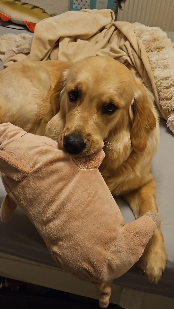 Bombi_Metall mit Herz tweet media