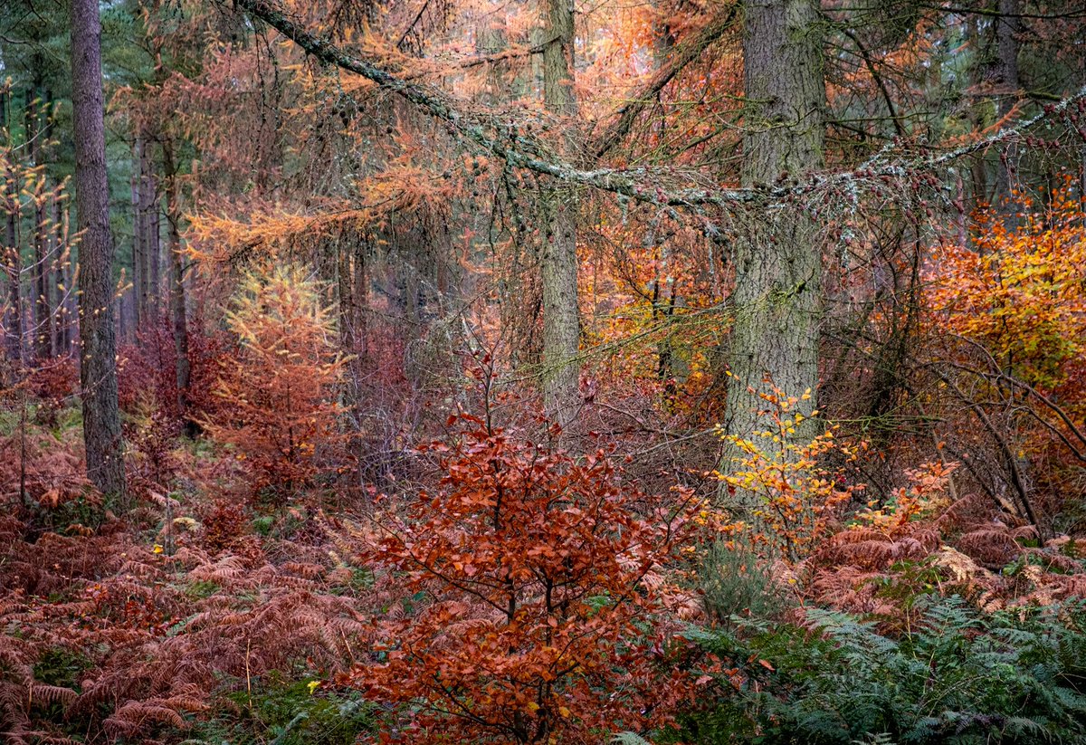 Paula 050840 tweet media