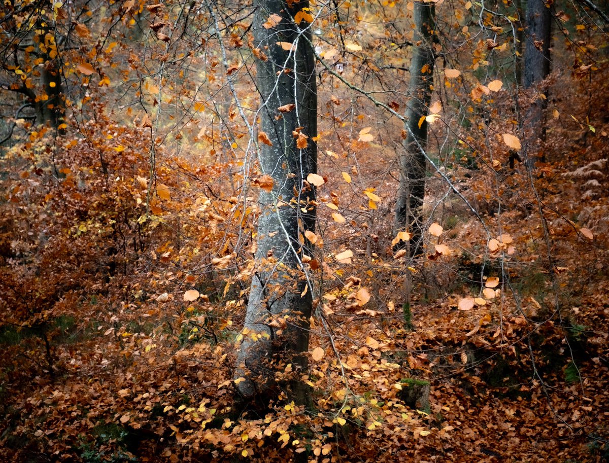 Paula 050840 tweet media