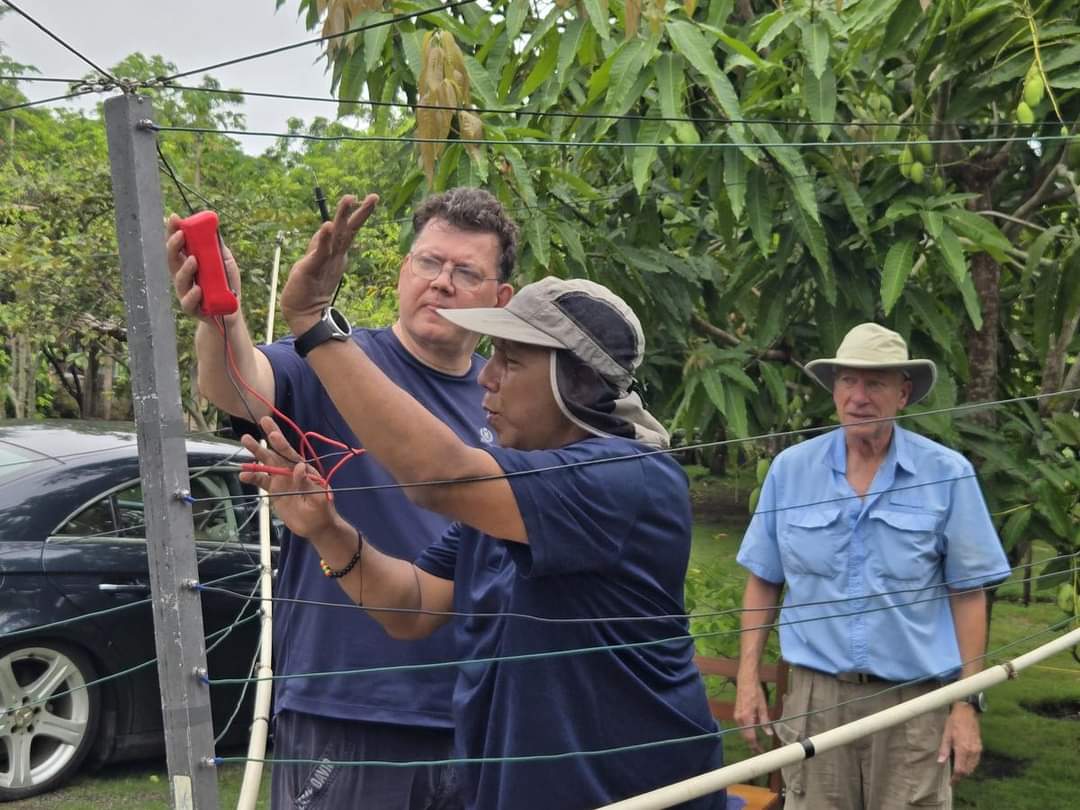 DX World.net tweet media