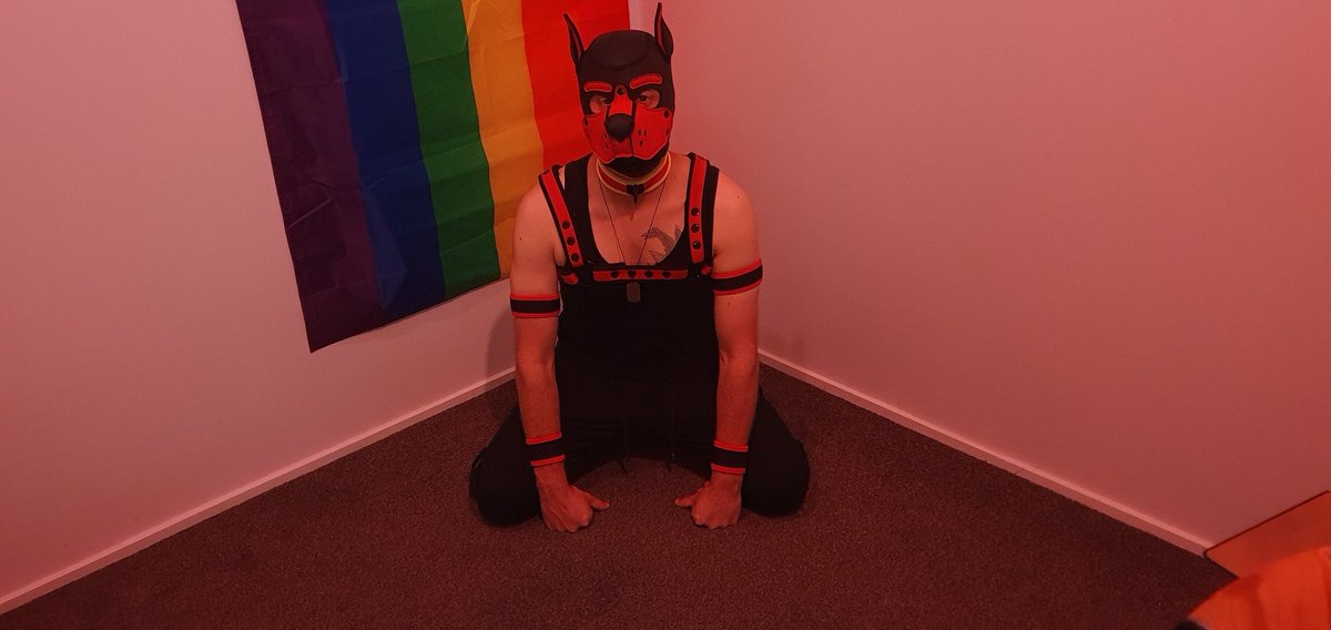 Got some new gear today, two new arm bands and wrist bands keeping the colors the same. Ruff! 😇😈 #nzgay #gaypuppy #gaypup