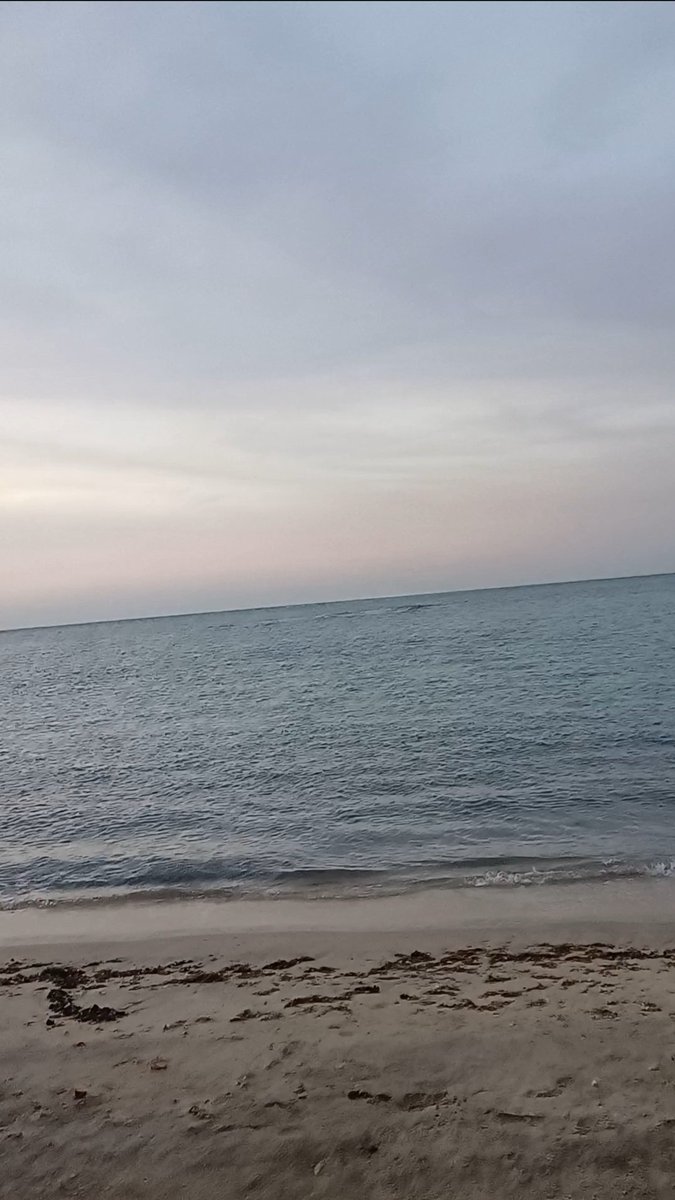 #صباح_الخير...  للقلوب إلليّ تحبنا ببساطه وتستقبلنا بكل حُب.. 🤍