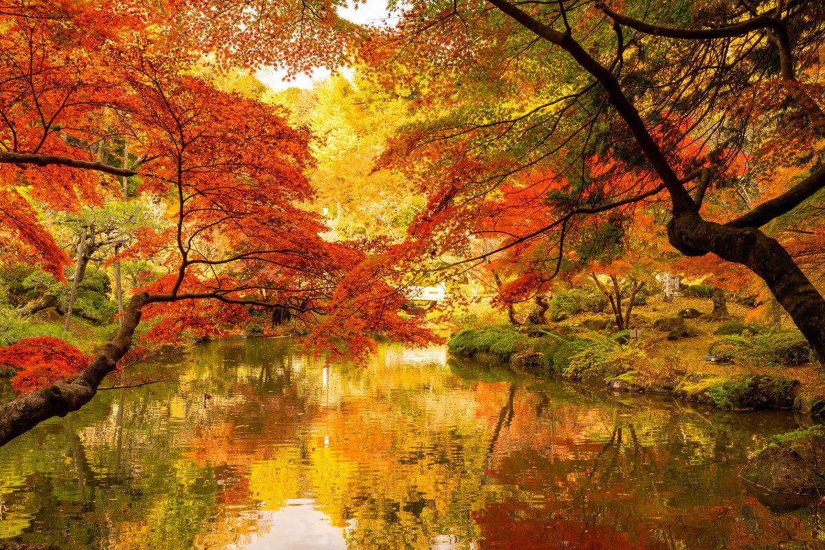 千葉の #紅葉スポット をご紹介！】 広大な敷地を誇る #成田山公園