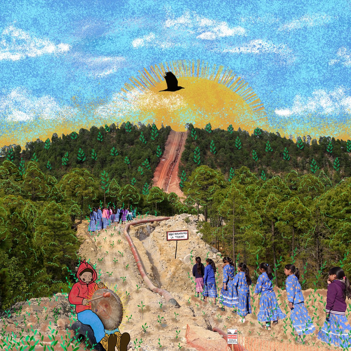 🌱 Periodismo de lo posible tweet media