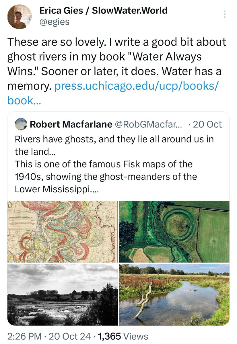 NebraskaSower's tweet photo. @asanderford @reecereports @NEMAtweets @gaarder @DavidCStokes @GRHAmo @tonymess "In his free time, Pomerantz hunts &amp; maps ghost streams... His eyes see what others miss— like this puddle, or certain water-loving plants that are clues to lost creeks. He gestures toward the trees that line the park’s edge on Fulton Street. 'Willows are like a flag,' he says." https://t.co/bpjf7zaJHd