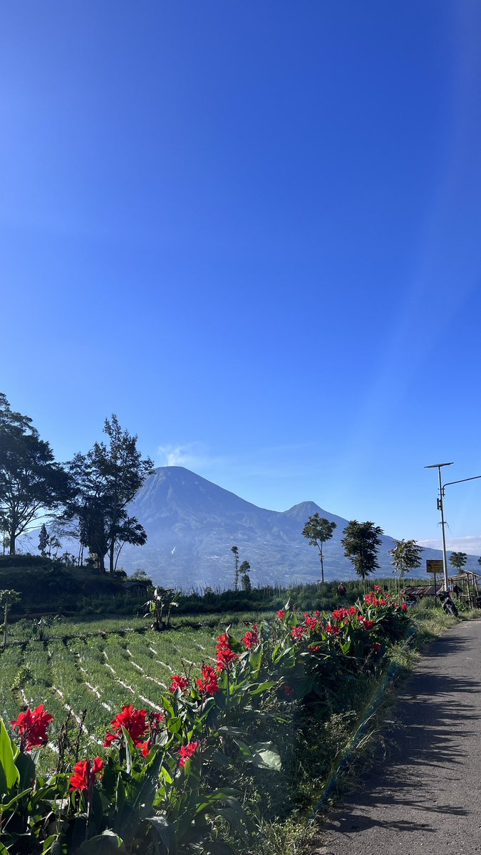 sunnyblush's tweet photo. kangen dieng.. gw bnr bnr happy banget pas di dieng tuh.. 

ke sana bukan pas holiday season jadi ga terlalu rame https://t.co/TgEbw8S6eb