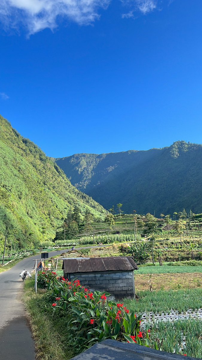 sunnyblush's tweet photo. kangen dieng.. gw bnr bnr happy banget pas di dieng tuh.. 

ke sana bukan pas holiday season jadi ga terlalu rame https://t.co/TgEbw8S6eb