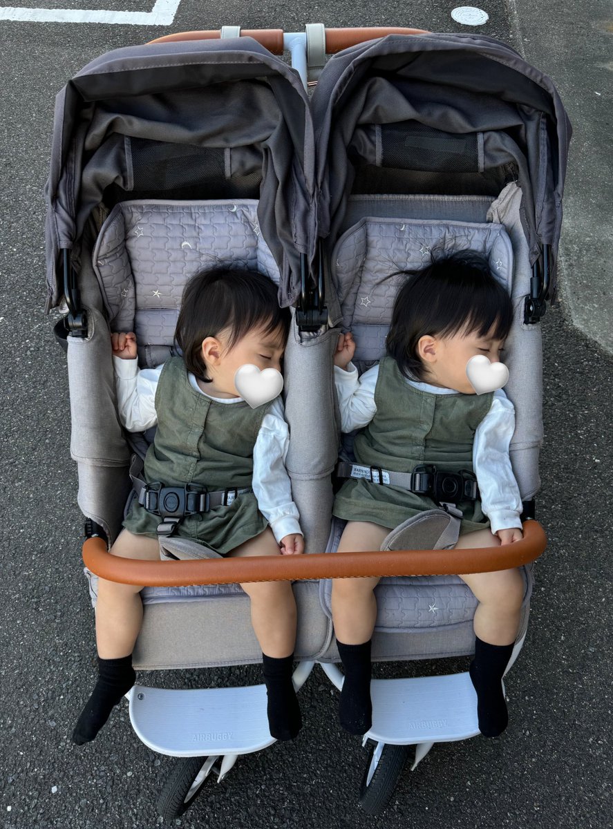 お散歩してたら完全に同じポーズで寝てた双子