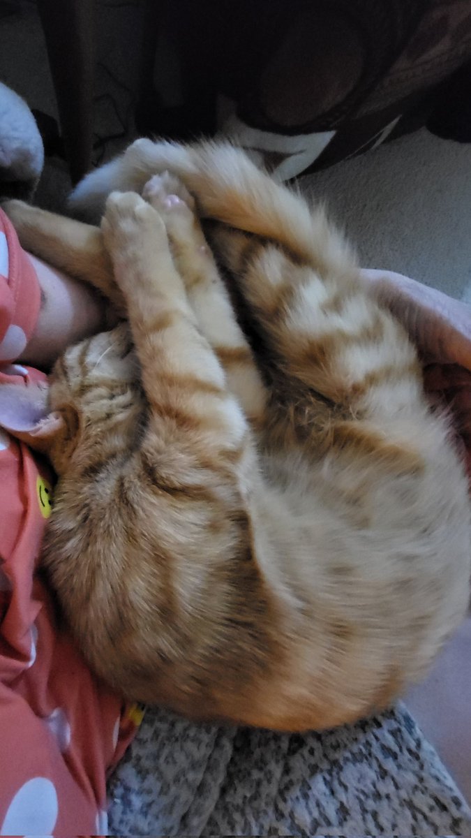 ITS_JUNE2's tweet image. Good night across the universe. #Friggitello