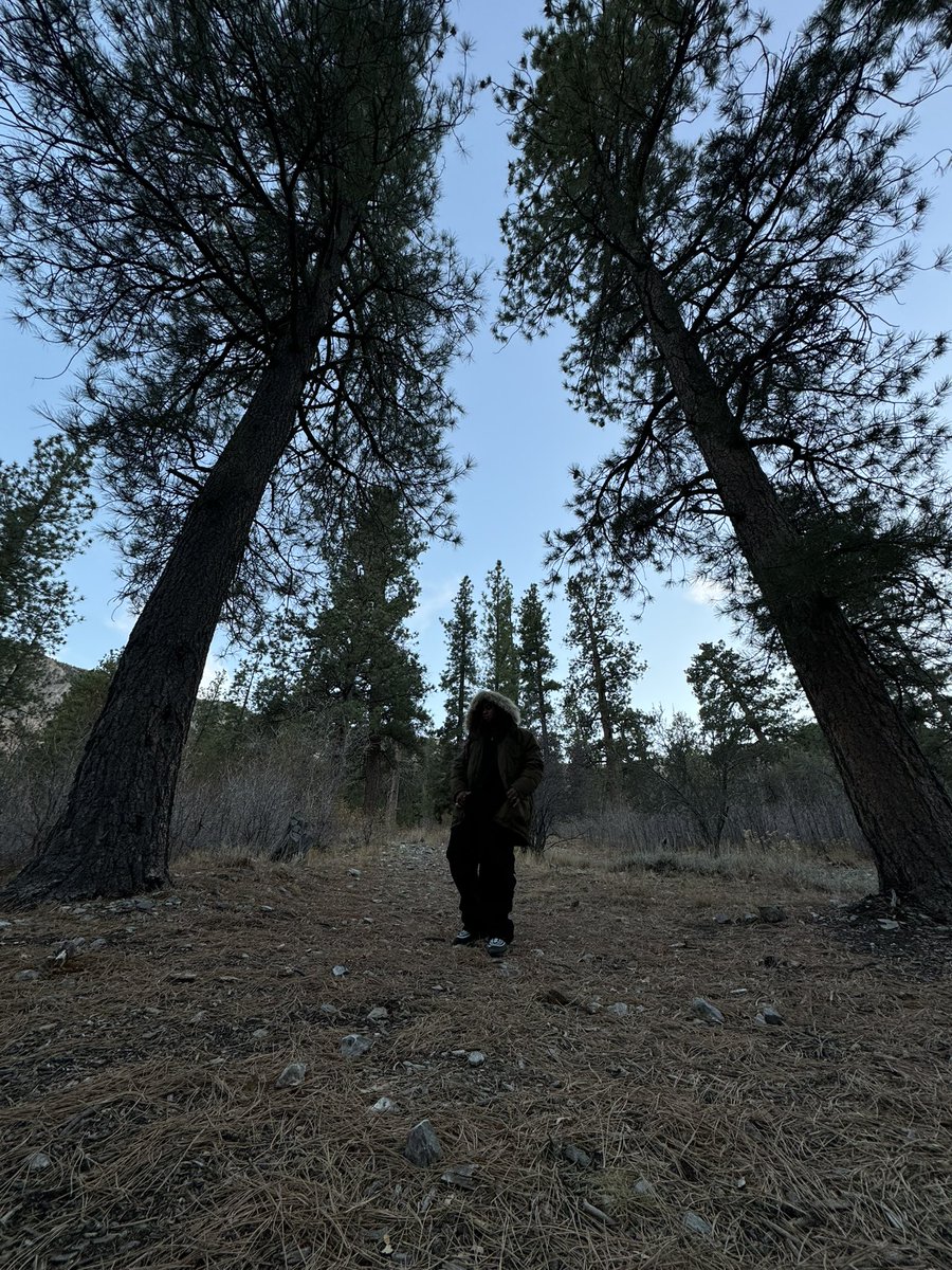 LONEWOLFPRIE's tweet photo. https://t.co/cad94nUJJt