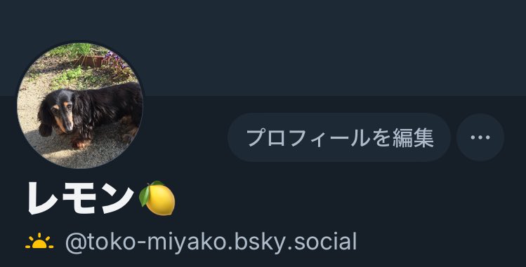 遅ればせながら始めてみました🦋
こちらで繋がっていた方々とも改めて仲良くさせていただければと思います🙇‍♀️💕
勝手がわからないけど試しに新規の写真を1枚投稿してます🐥