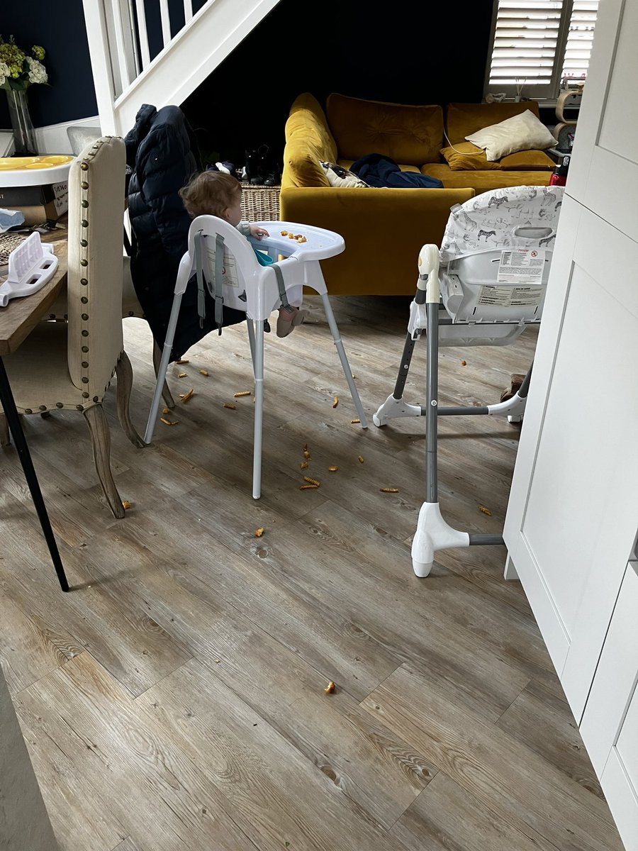 Loops10's tweet photo. Jude absolutely loved his first meal from the new air fryer π€¦πΌββοΈ
#FishFingersAndChippies
#FoodFight
#LittleToad https://t.co/OsnxQyymi8
