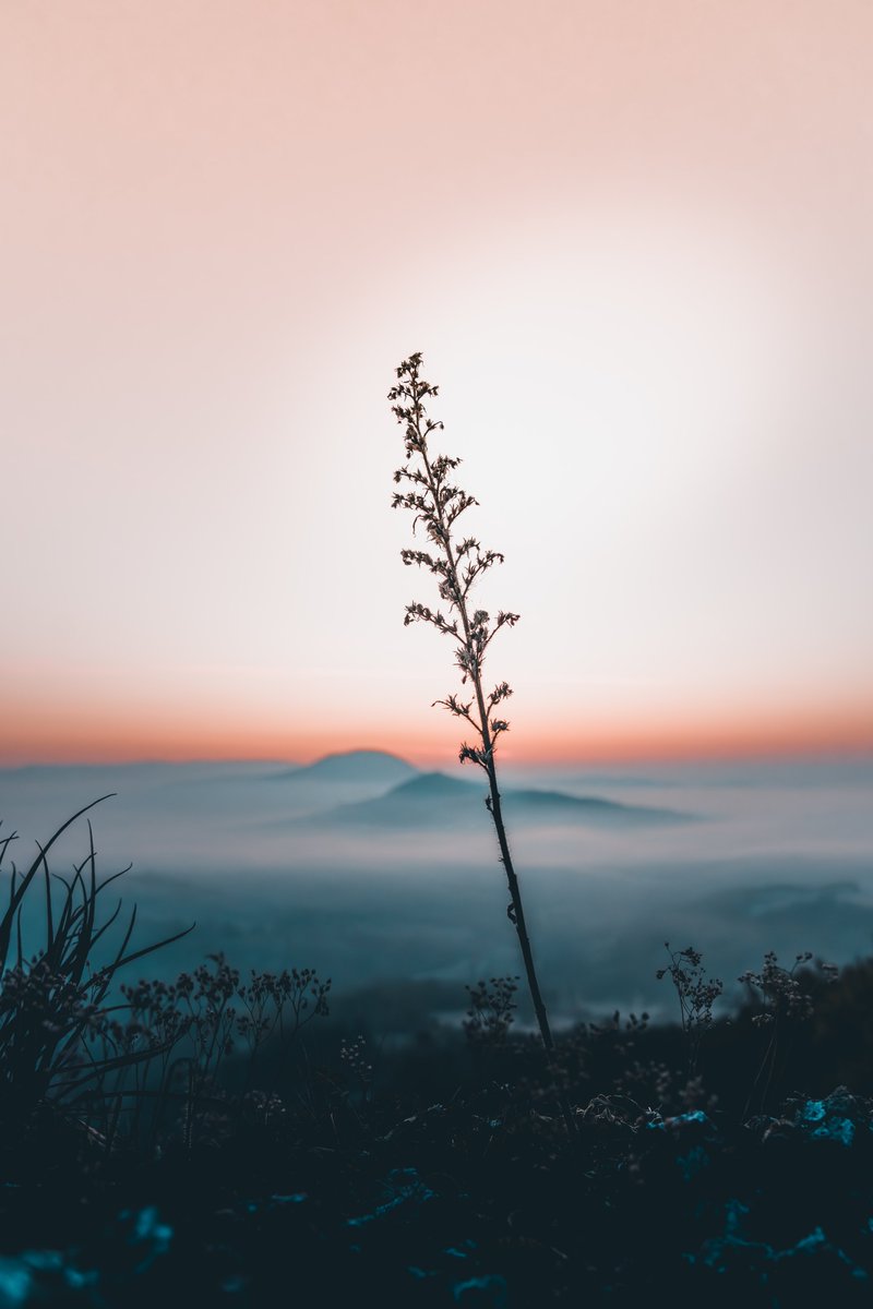 AdamFurrier's tweet photo. #MorningVibe #SunriseDaily #IG #landscape 
https://t.co/2Y3OoCRpv5 https://t.co/lI0sWpOl8Q