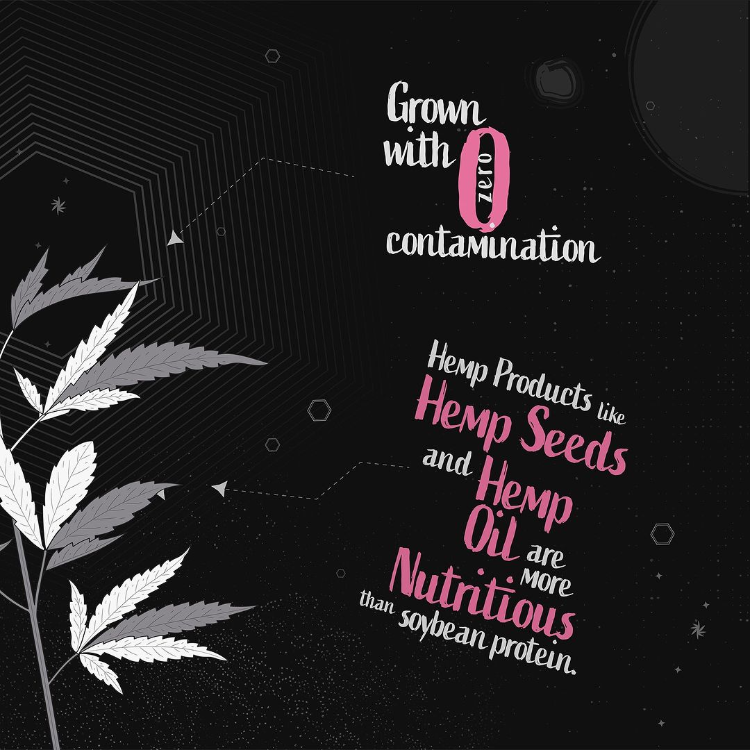 thehempverse's tweet photo. Powered by the knowledge of hemp being a complete protein source, containing all 9 essential amino acids, hemp protein is a great vegan alternative to meet your nutritional requirements. https://t.co/7A8mUHNS6A