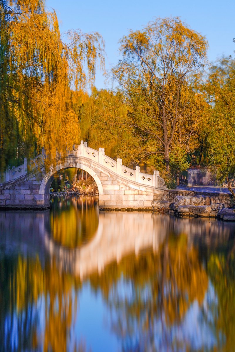 Tsinghua_Uni's tweet photo. Mirror, mirror on the lake, 
how many sceneries will you remake?
#Autumn is here at its peak,
in ripples of shattered golden streaks.
🪞🍁🍂

#DiscoverTsinghua
 📷 Ren Zishuo https://t.co/8Fg8npP9bP