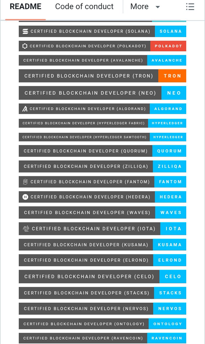 After the PiStable project was certified by many Blockchain Developers like  Solana, Polkadot, Avalalanche, Tron, Ethereum, the project received the  PIOS License proving that it is developed on the BlockchainPi and is