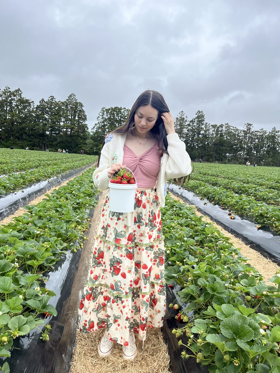 🍓strawberry picking with <a href="/dilemmaoregan/">Dilemma</a> ❤️