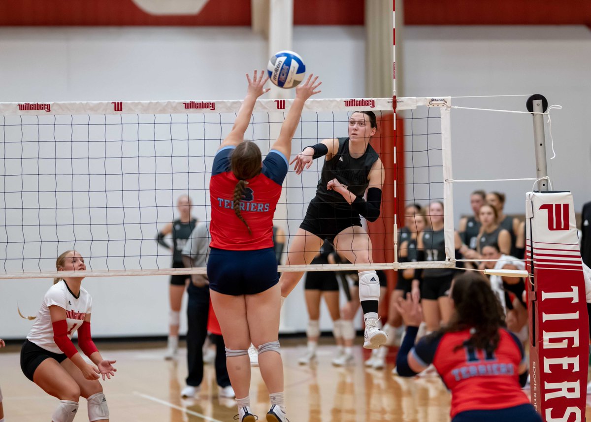 Wittenberg Athletics tweet media