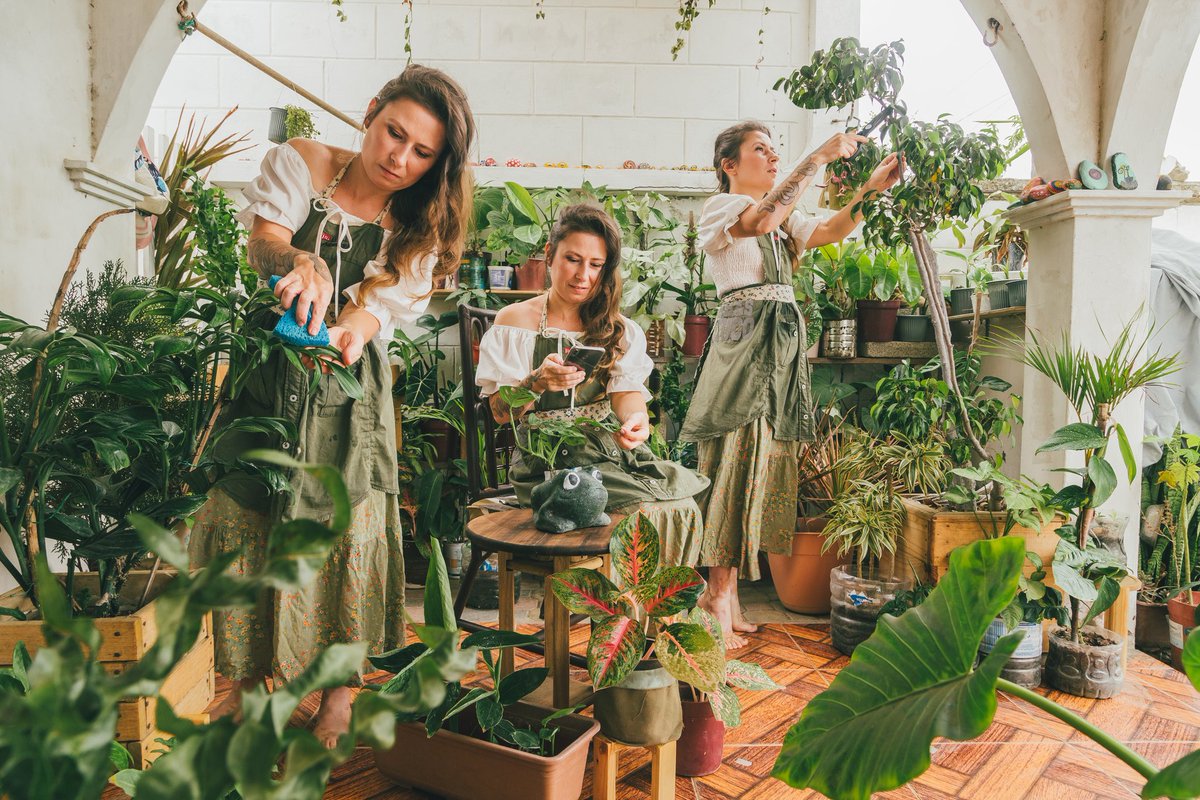 Plantanario's tweet image. ¡Hola, soy coleccionista de plantas exóticas. Comparto los secretos del cultivo y con mis videos te ayudaré a llenar tu espacio de naturaleza única.🪴🇪🇨🇷🇺