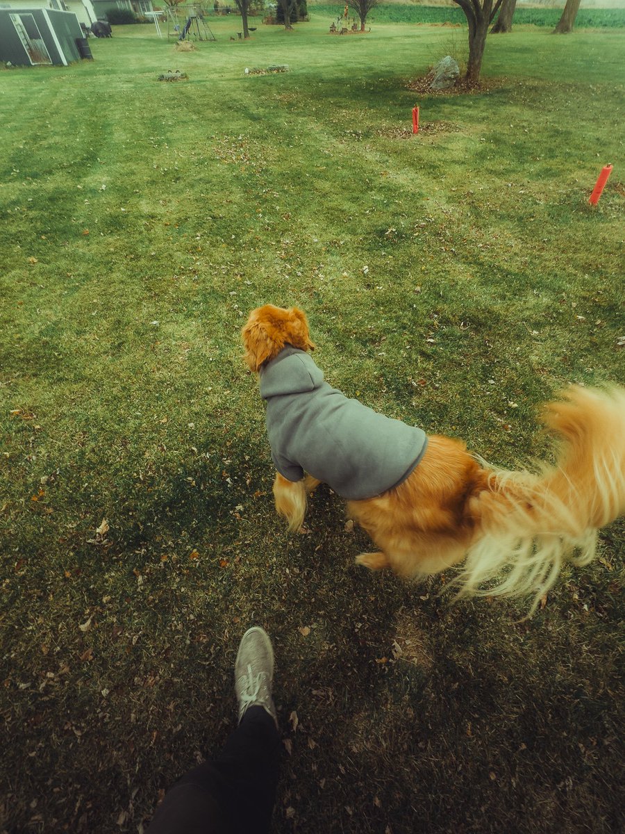 Cory Talaska (@corytalaska1) on Twitter photo 