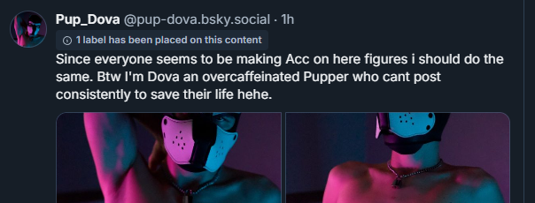 PupDova's tweet photo. Figured it was time to make a 🟦☁️Acc, feel free to give a friendly boop. Probably wont post much but its good to have in case, awrf! 🖤🤍 https://t.co/QfpUBolUtI