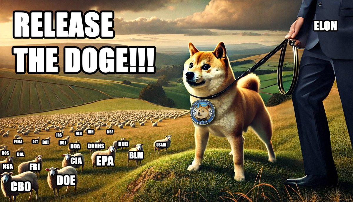 RyanSMiller's tweet photo. @elonmusk #ReleaseTheDOGE!!! https://t.co/iZgfnq7p4t