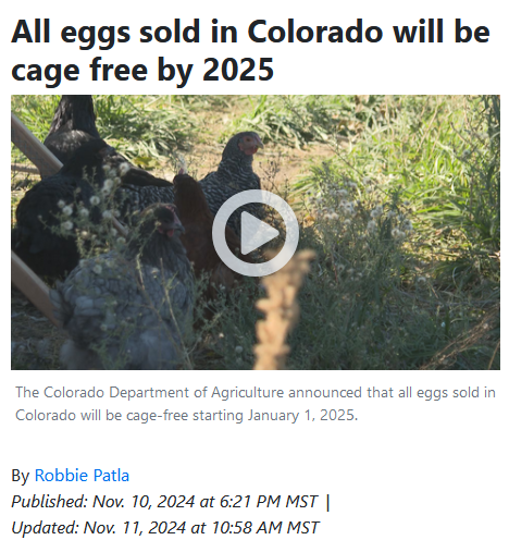 FreeStateColor1's tweet photo. "Violations of the provisions of the bill are subject to a civil penalty of up to $1,000 per violation."
Eggs from caged chickens will be ILLEGAL in Colorado starting January 1st, 2025...
Literally, they will arrest you and imprison you if you are caught transporting or selling eggs from caged chickens!
From the article: βA business owner may not knowingly sell or transport for sale in Colorado eggs or egg products that were produced by a hen that was confined in a manner not compliant with the enclosure requirements.β
Absolutely NOT the proper role of Govt! These politicians should be driven out of Colorado!
bill info: https://t.co/2HC2Svmaz7
article: https://t.co/A6s7qJ2eMe
#copolitic #coleg