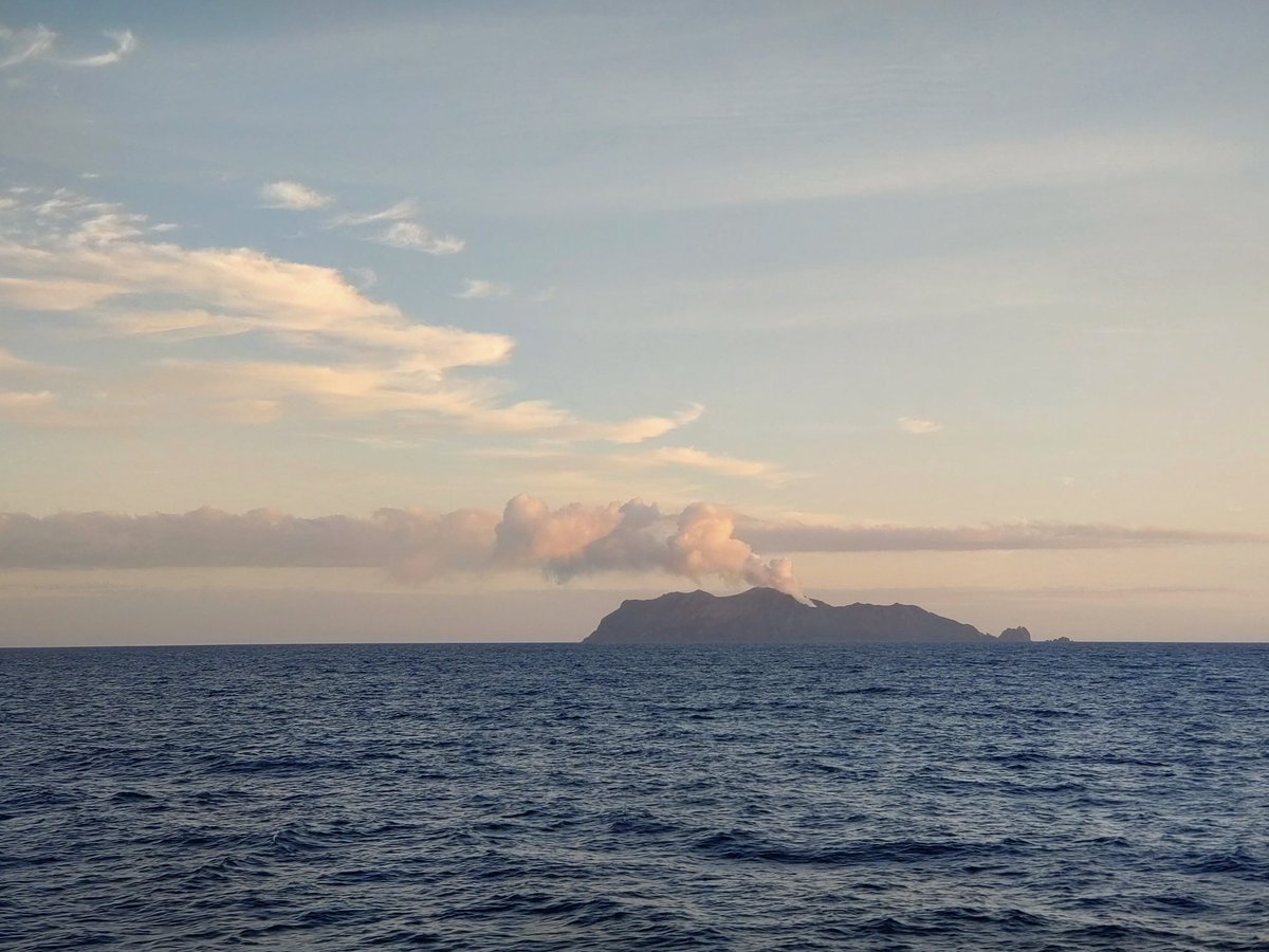 White Island, kicking out steam this morning 🌋