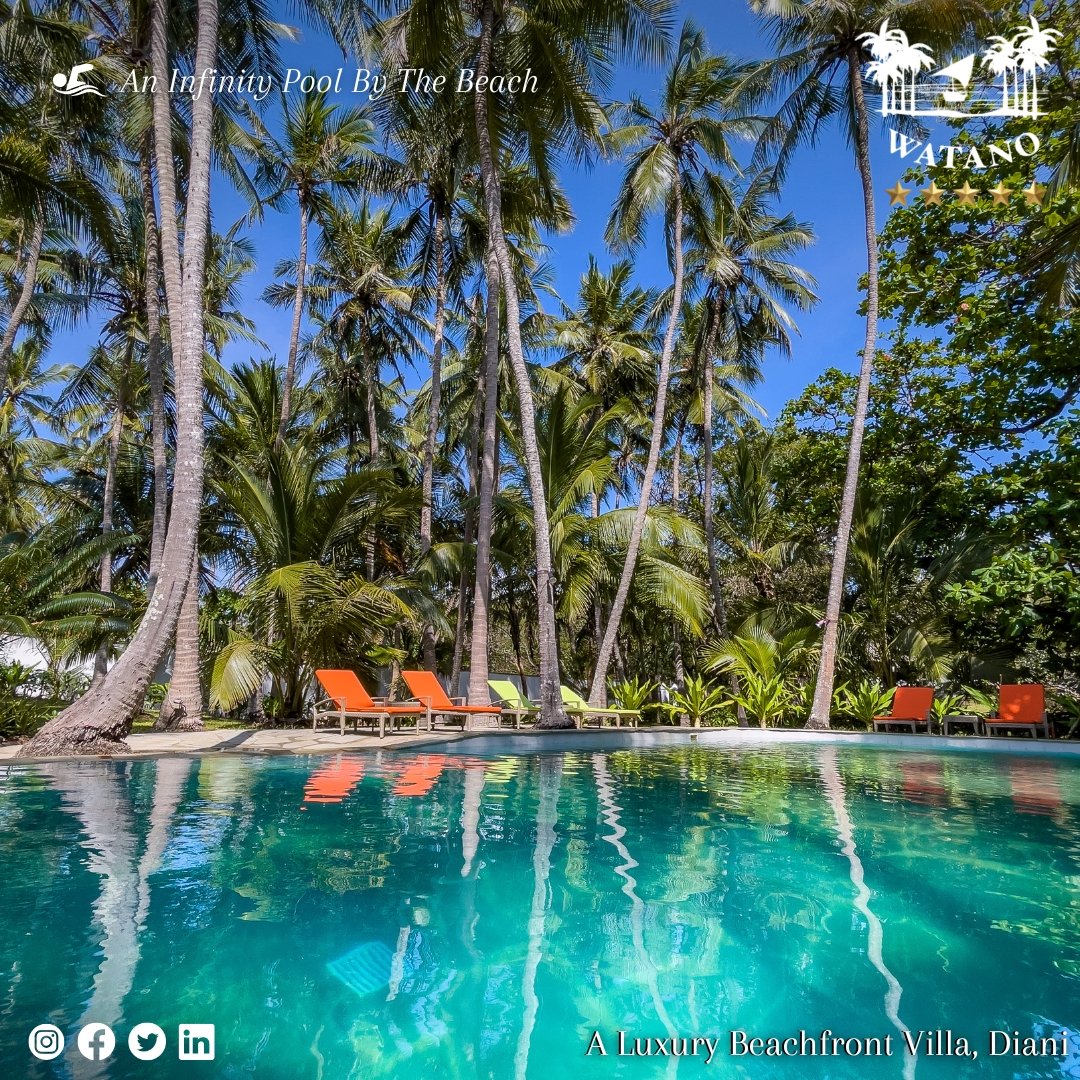 🌟🏡🌴🏊‍♀️🌊👨‍🍳 #WatanoBeachHouse: Poolside Bliss Redefined Infront Of Africa's Best Beach 🍹🌊🏊🌴🏡🌟

🤳 Book Your Villa Today Call: 0701 232 362 🤳

💬 Enquire On Whatsapp (Reservation Enquiries Only): wa.me/+254701232362

✉️ info@watanohouse.com