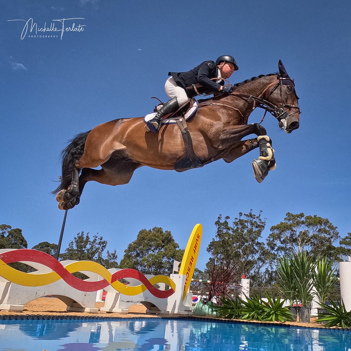mterlato's tweet photo. Australian Jumping Championships Senior Title 2024 went to Phillip Lever from Victoria on Billionaire NZPH at Willinga Park NSW
#ausjumpingchamps https://t.co/QkfljARF3A