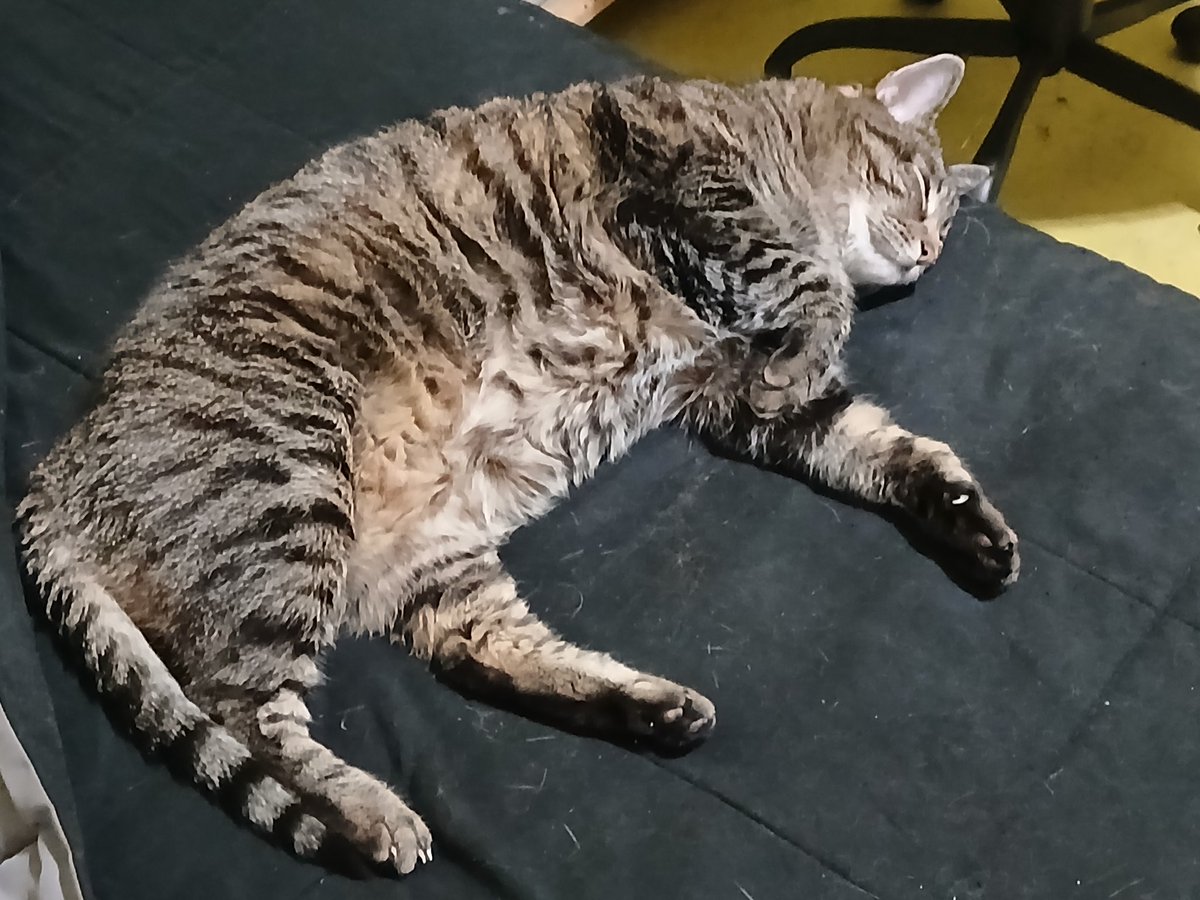 Light it up with someone you love ❤️.  420! Kiki da Kat.