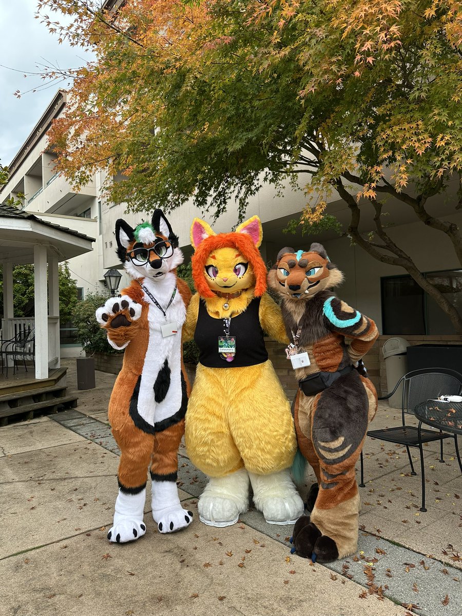 Gatzumara's tweet image. This beautiful spot at the hotel was amazing I think is where I took most of my pictures! 🏨

#howloween2024 #howloween #FancyFurPierrot #FursuitEveryday