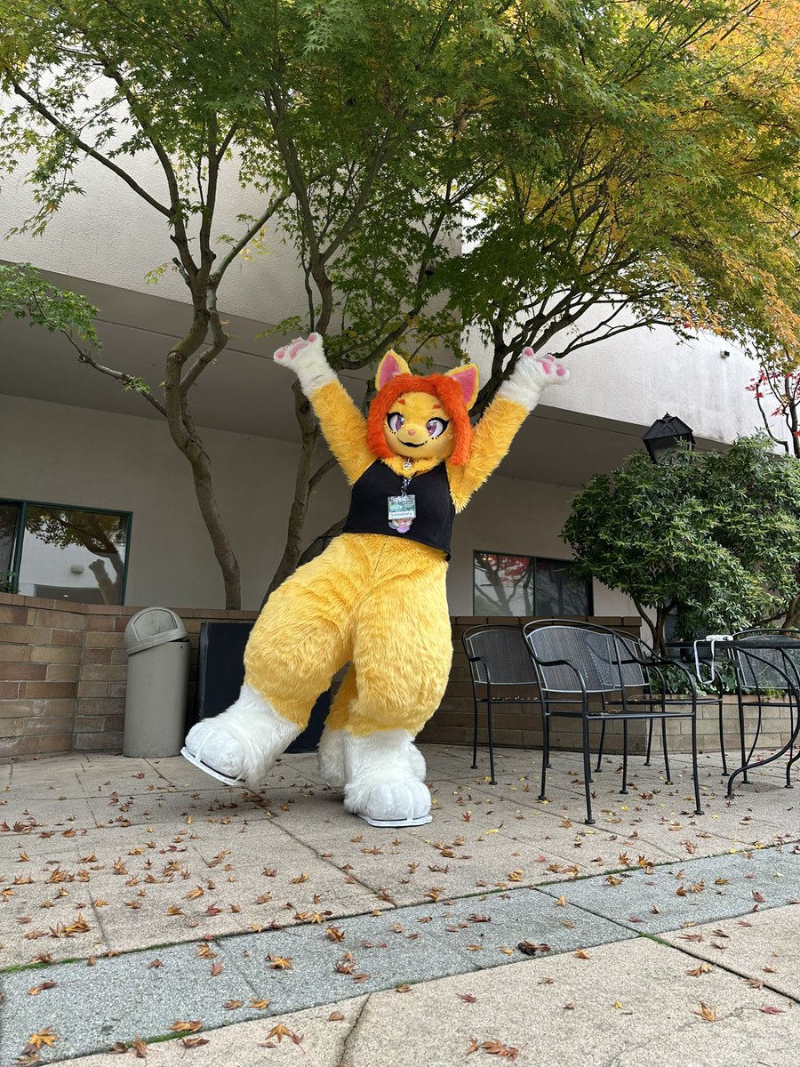 Gatzumara's tweet image. This beautiful spot at the hotel was amazing I think is where I took most of my pictures! 🏨

#howloween2024 #howloween #FancyFurPierrot #FursuitEveryday