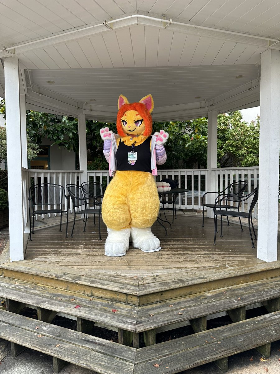 Gatzumara's tweet image. This beautiful spot at the hotel was amazing I think is where I took most of my pictures! 🏨

#howloween2024 #howloween #FancyFurPierrot #FursuitEveryday