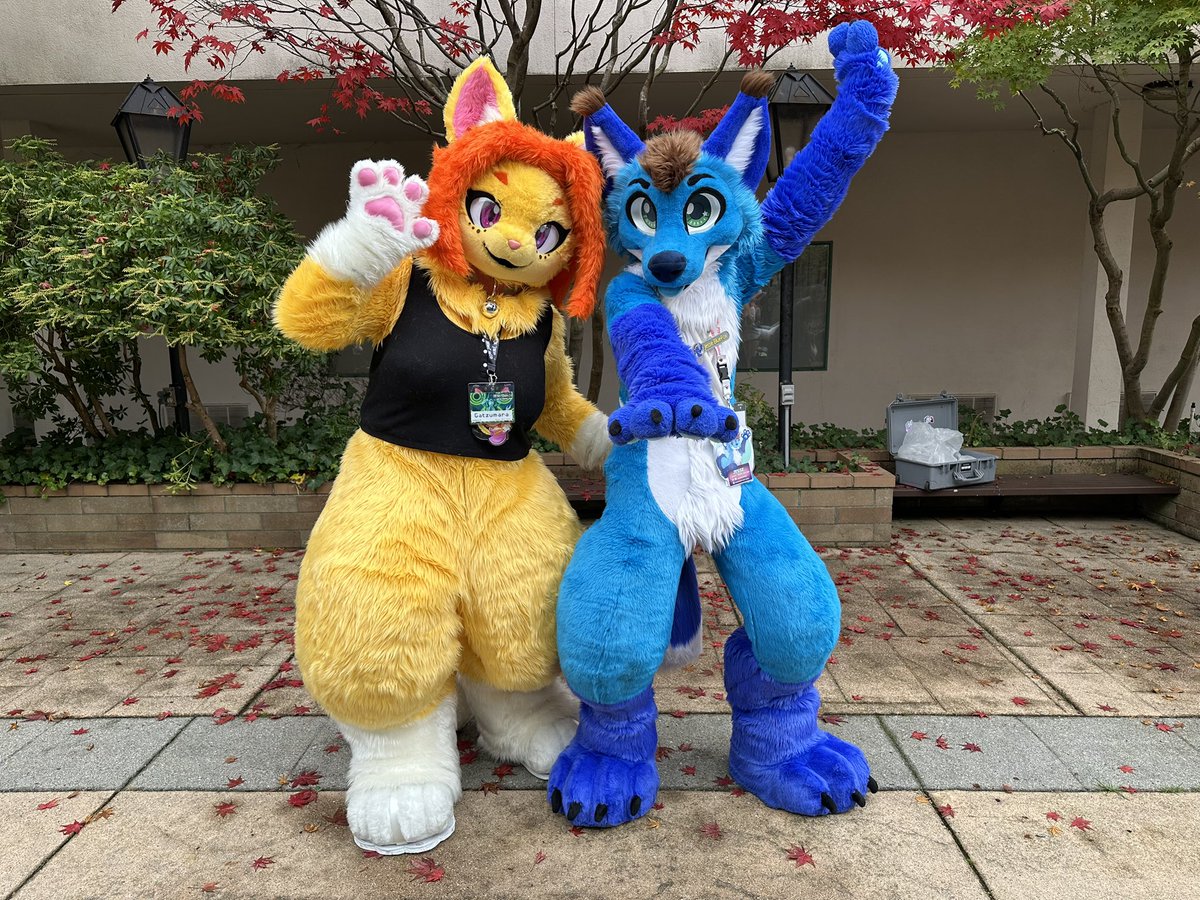 Gatzumara's tweet image. This beautiful spot at the hotel was amazing I think is where I took most of my pictures! 🏨

#howloween2024 #howloween #FancyFurPierrot #FursuitEveryday